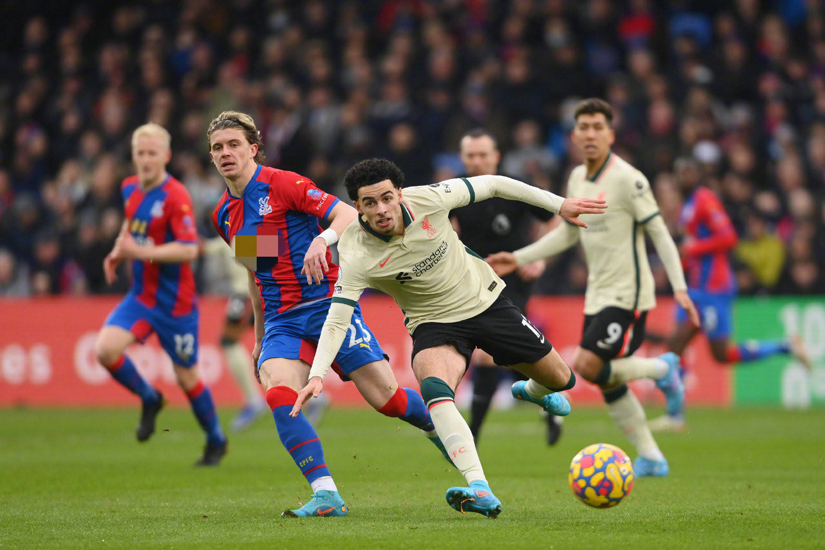 达尼洛的离 达尼洛的离